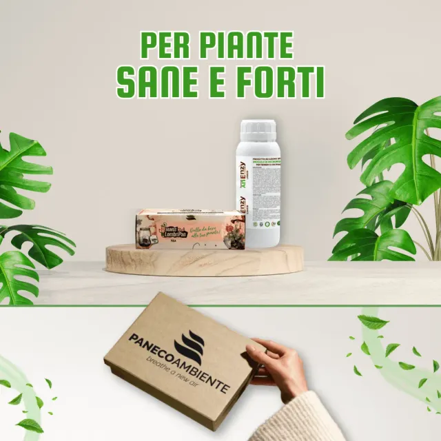 ZoLogik Kit Plants kit piante 500 ml + 90 g biologico