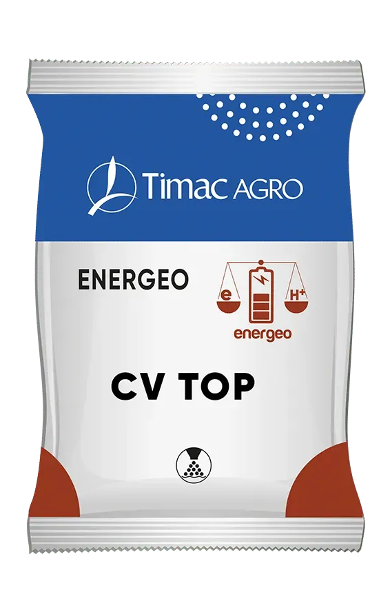 Vitalfit Energeo CV Top correttivo per terreno stanco
