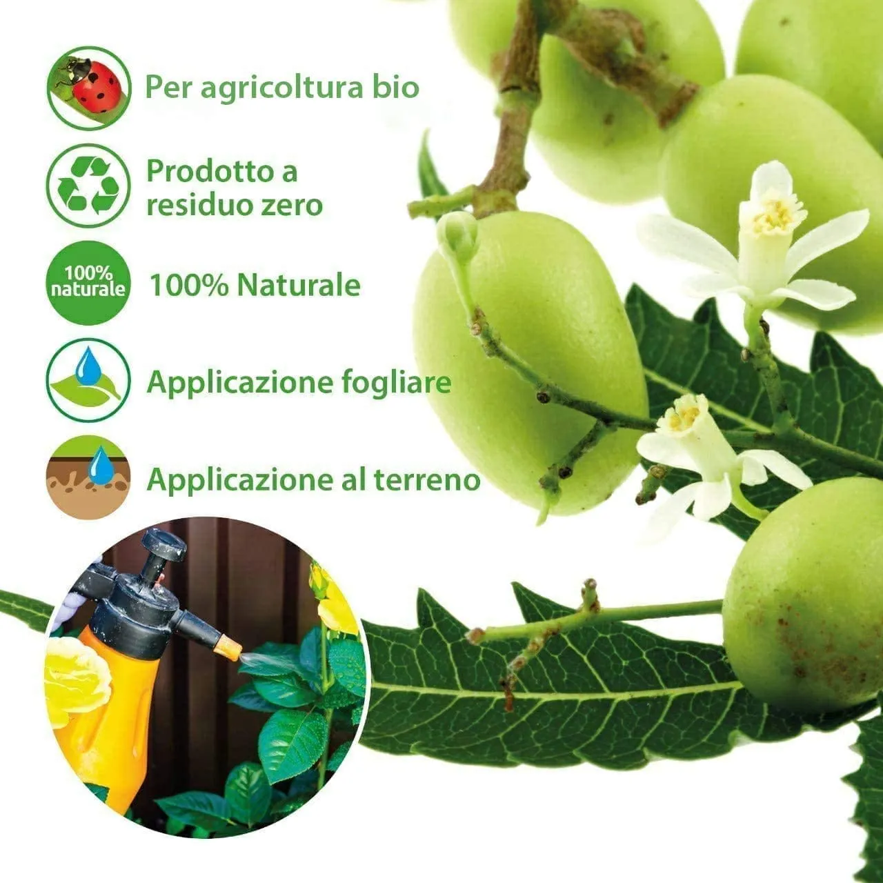 Bio A.L.T. Olio di Neem Piante Pronto Uso 500 ml Inodore