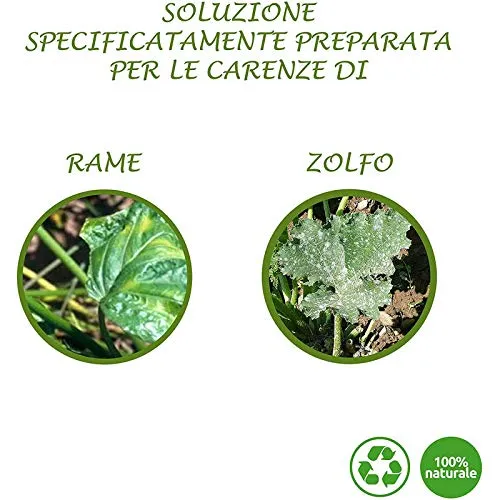 BioAlt Azul S-Cu concime rame e zolfo 1 L antifungino