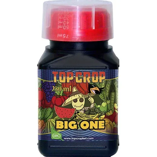 Top Crop Big One stimolatore fioritura volume e resina
