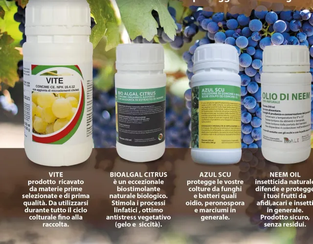 BIOALT Magnifico Vigneto kit vite 4 prodotti naturale