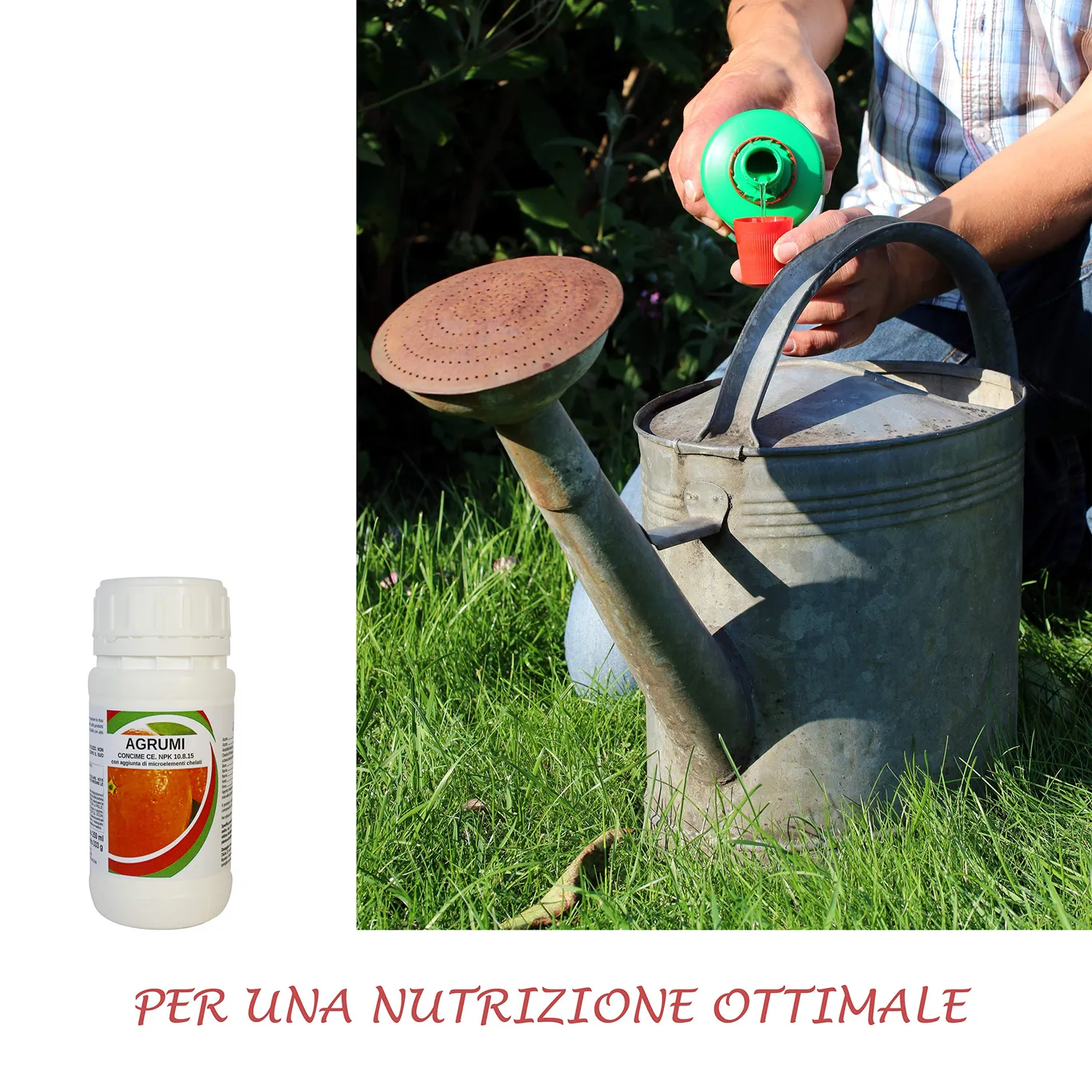 BIOALT Agrumi concime liquido limoni e aranci 250 ml