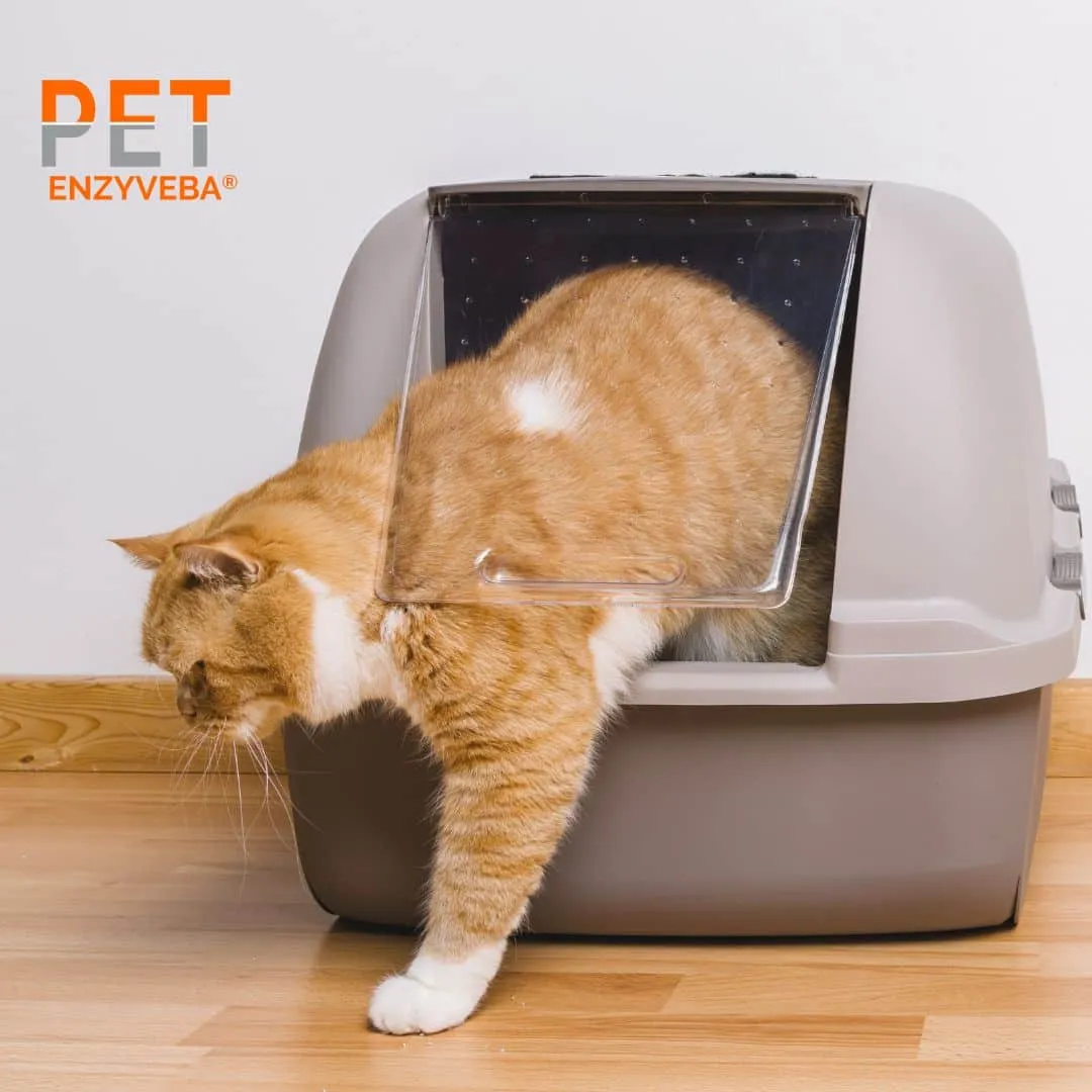 ZoLogik EnzyVeba Pet spray antiodore 750 ml naturale