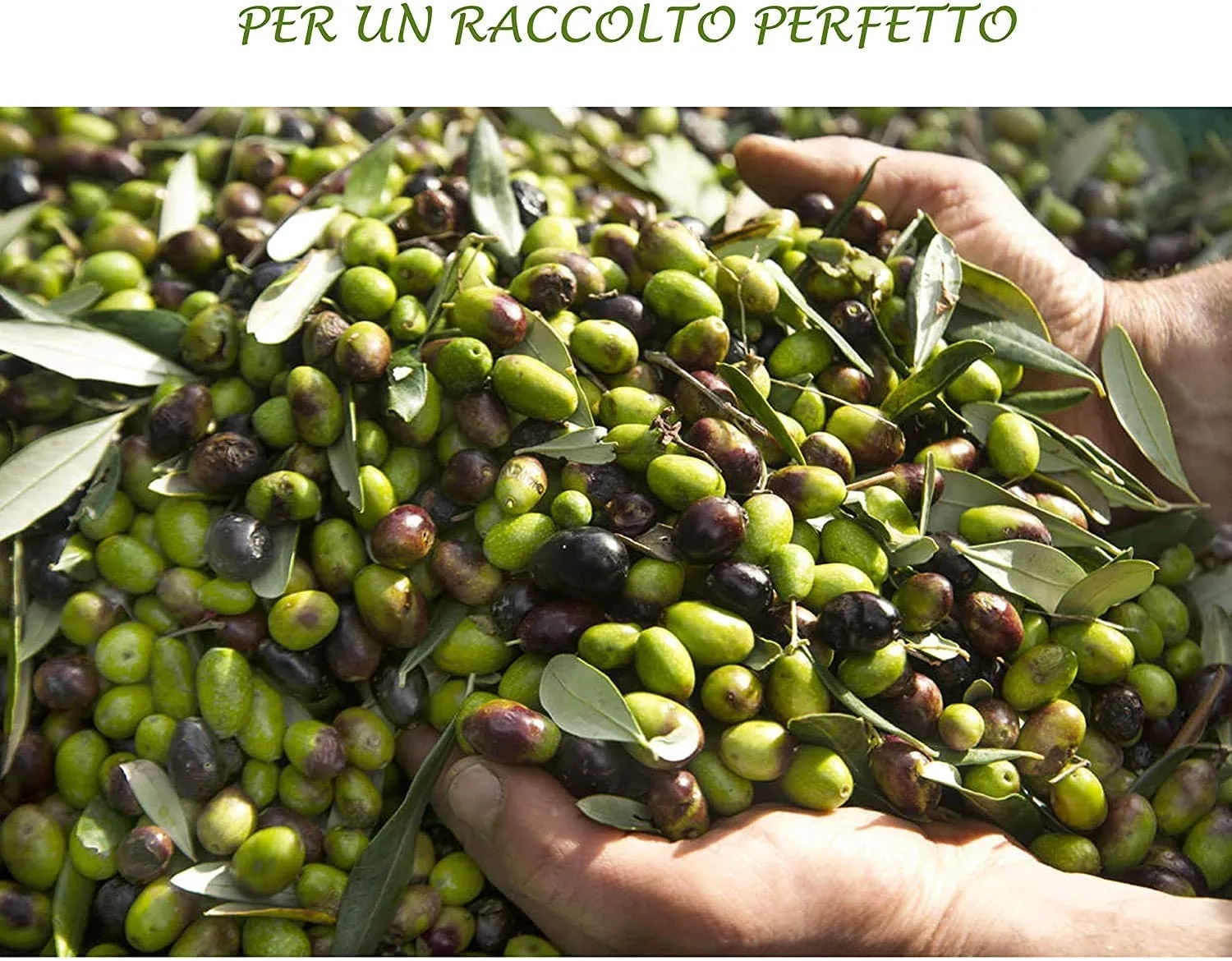 Bioalt Boro Et Concime liquido 5 litri boro