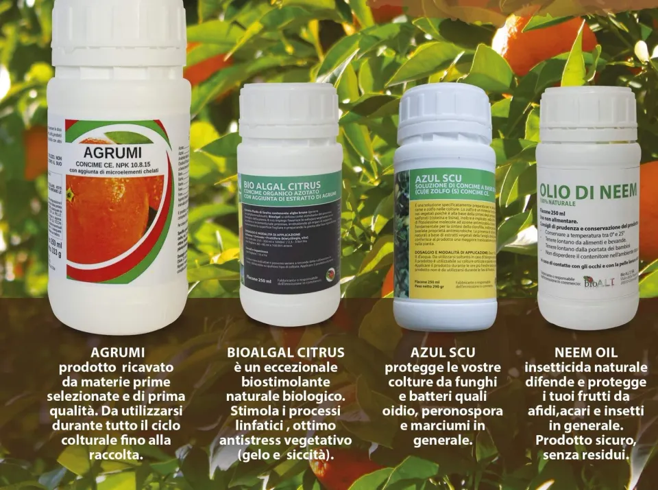 BIOALT Magnifico Agrumeto kit agrumi 4 prodotti naturale