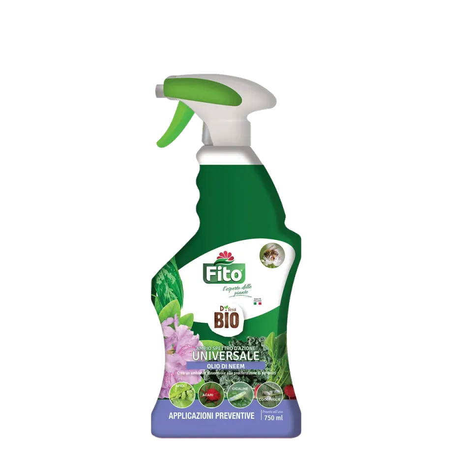Fito Universale Neem olio vegetale spremitura a freddo