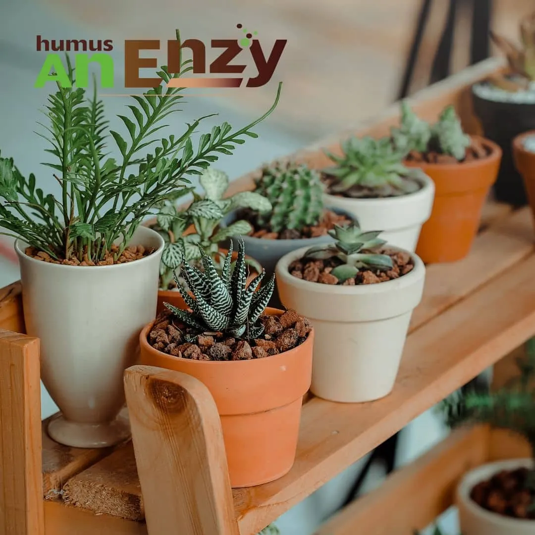 ZoLogik Humus AnEnzy Solid Biochar 8,5 q