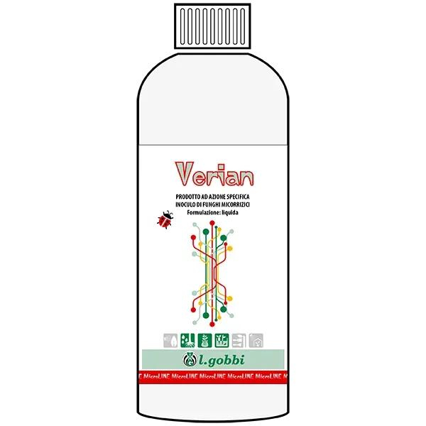 Lgobbi Verian micorrize funghi batteri rizosfera
