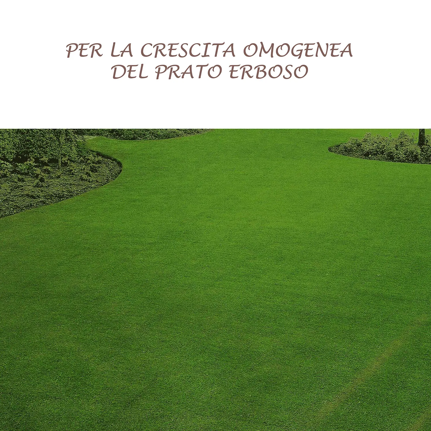 BIOALT BC Control biostimolante micorrize prato e orto 150 g