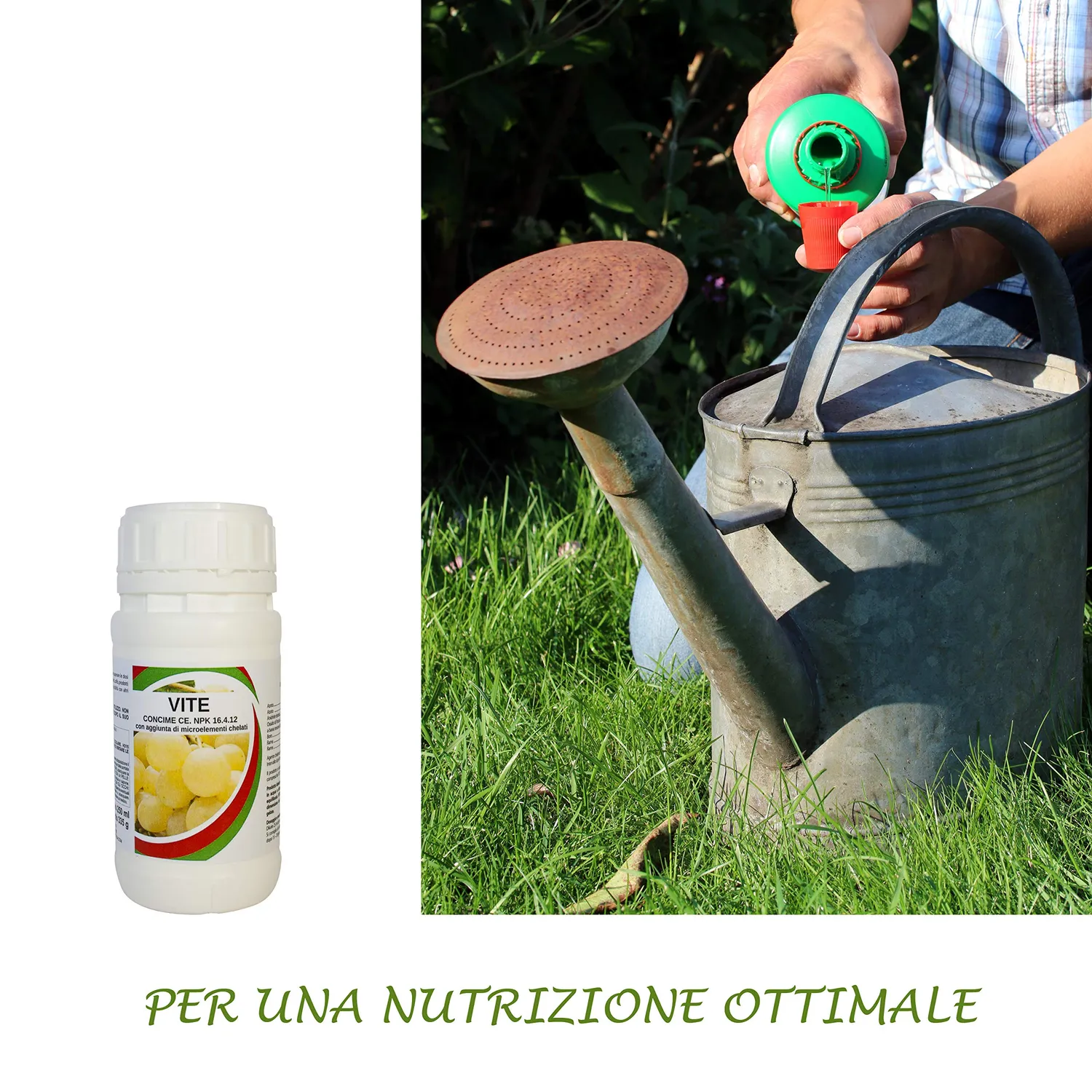 BIOALT Vite concime liquido 250 ml specifico