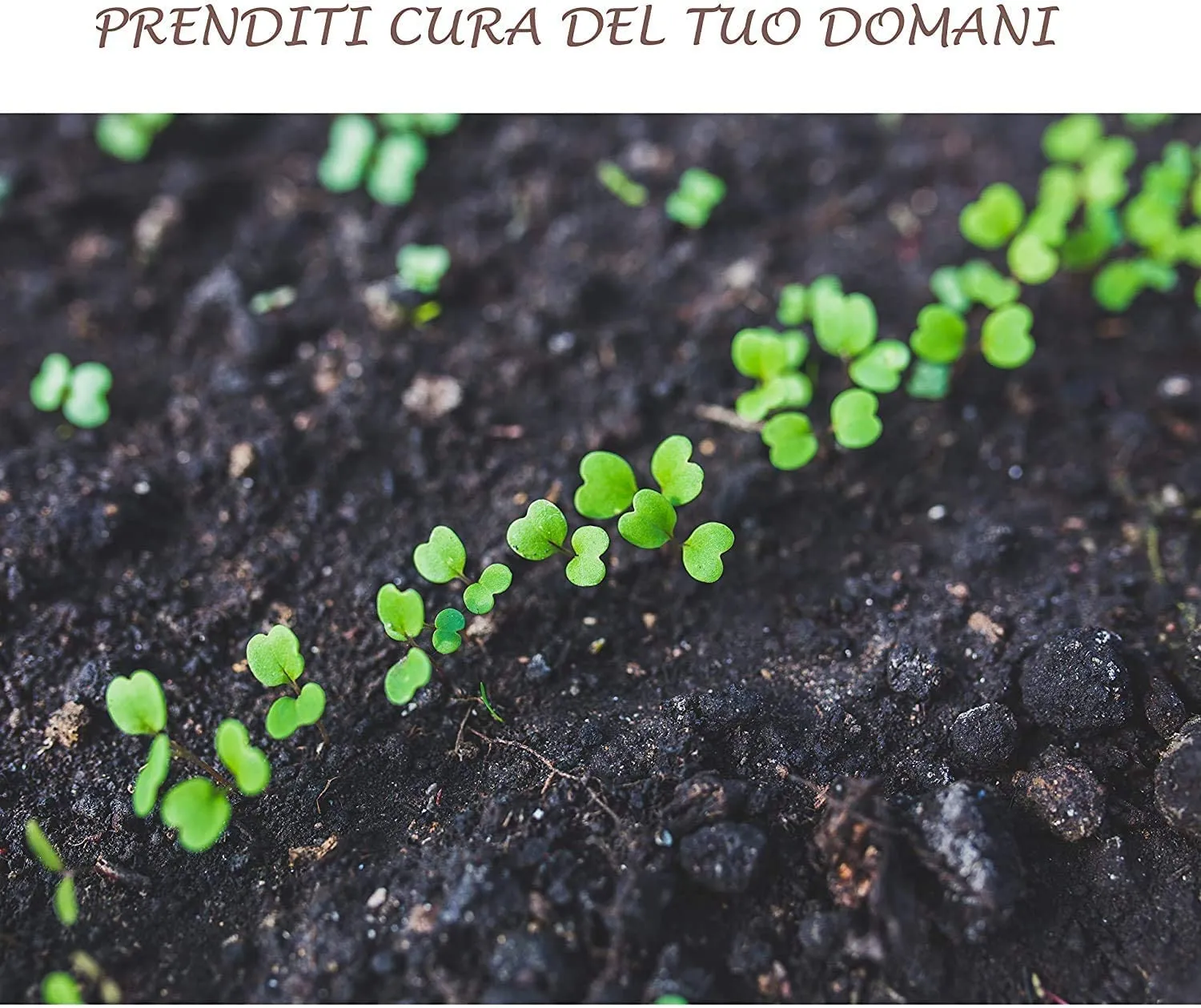 Bioalt Radice Bio concime radicale 1 litro naturale