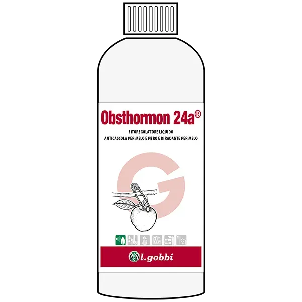 Lgobbi Obsthormon 24a fitoregolatore diradante melo