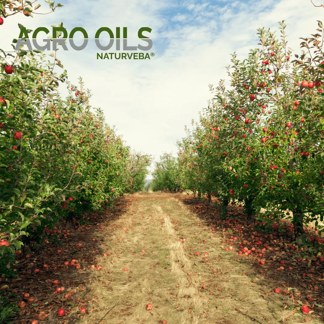 ZoLogik NaturVeba Agro Oils oli vegetali 5L bio