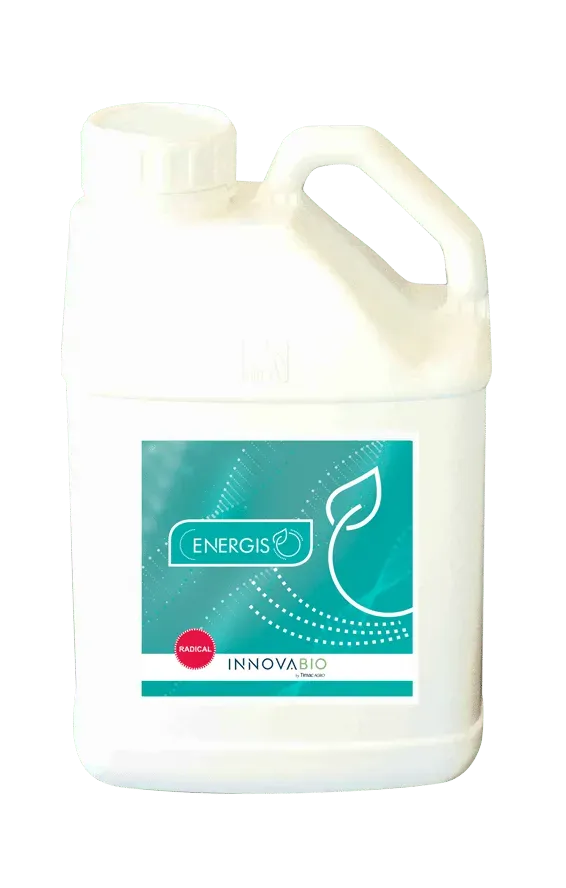 Vitalfit Energis Radical concime radicale