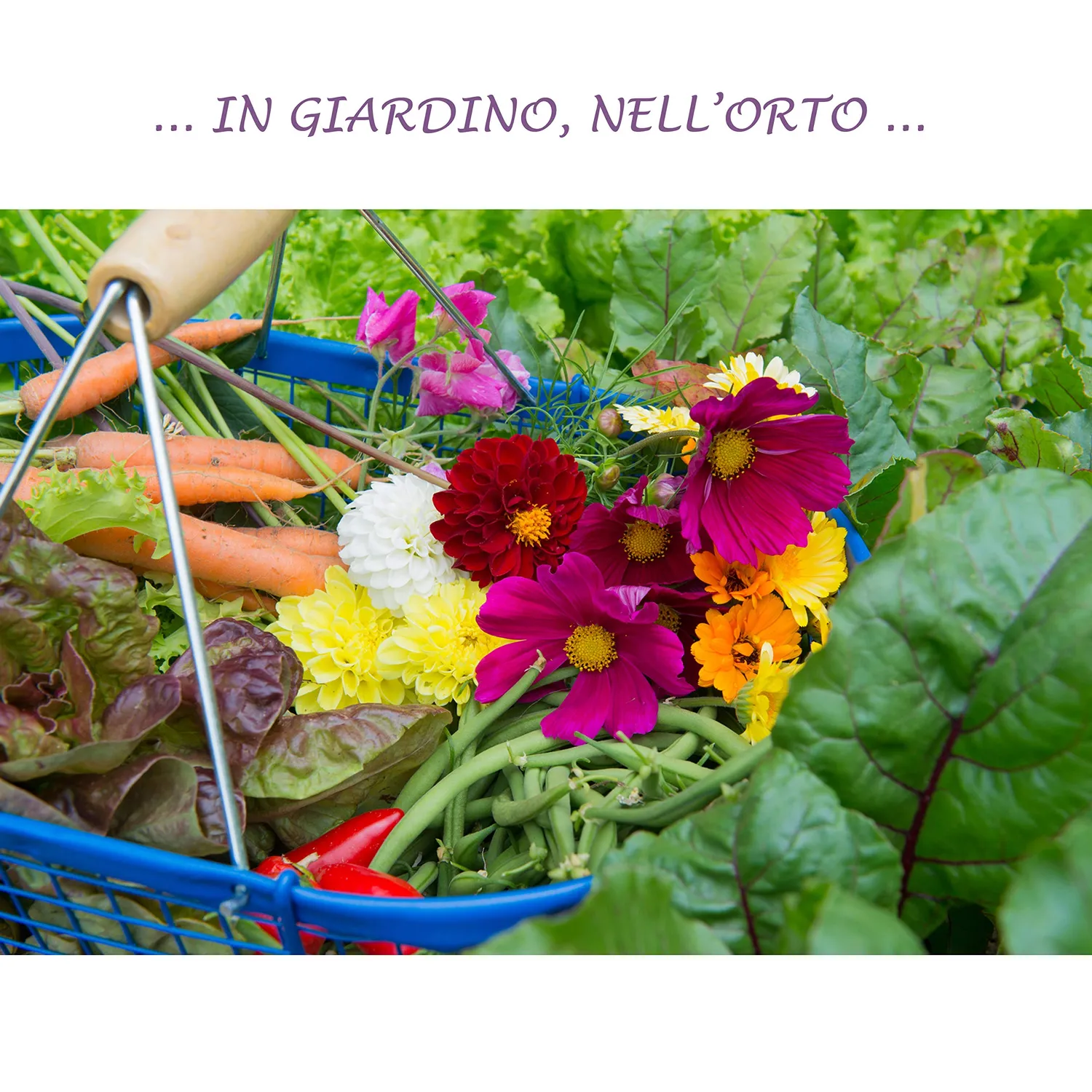 BIOALT Piante Fiorite concime liquido fioritura chelato NPK