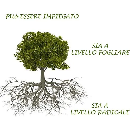 BioAlt Azul S-Cu concime rame e zolfo 1 L antifungino