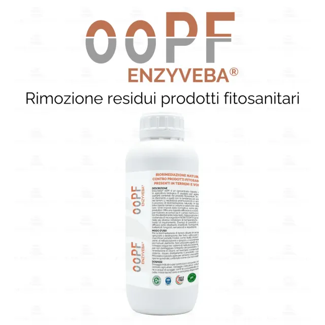 ZoLogik EnzyVeba 00PF biorimediatore concentrato naturale