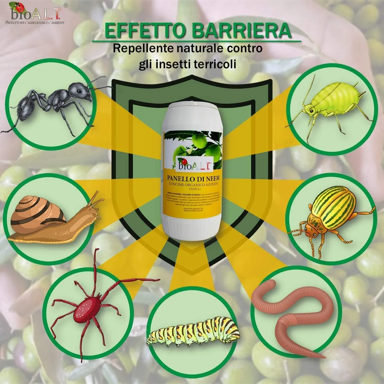 BIOALT Panello di Neem polvere 500 g insetticida