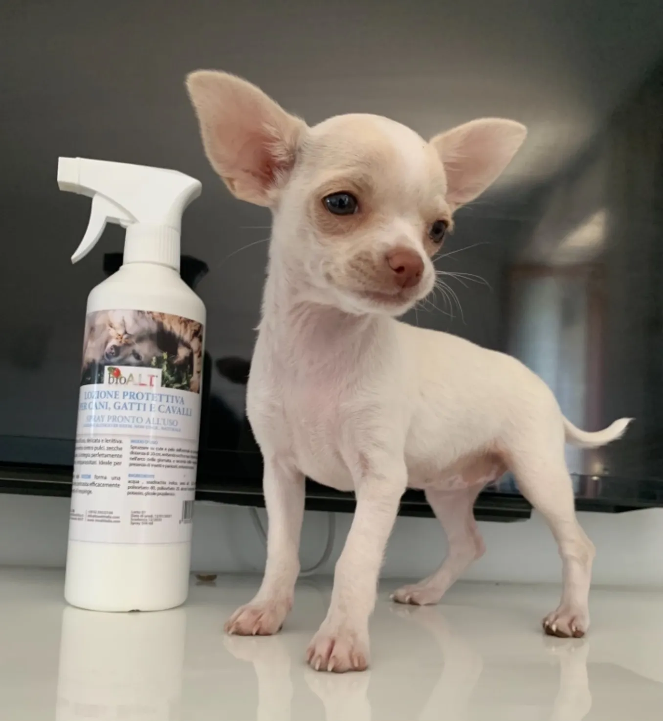 Bio A.L.T. Olio di Neem Spray Repellente Animali 500 ml Naturale