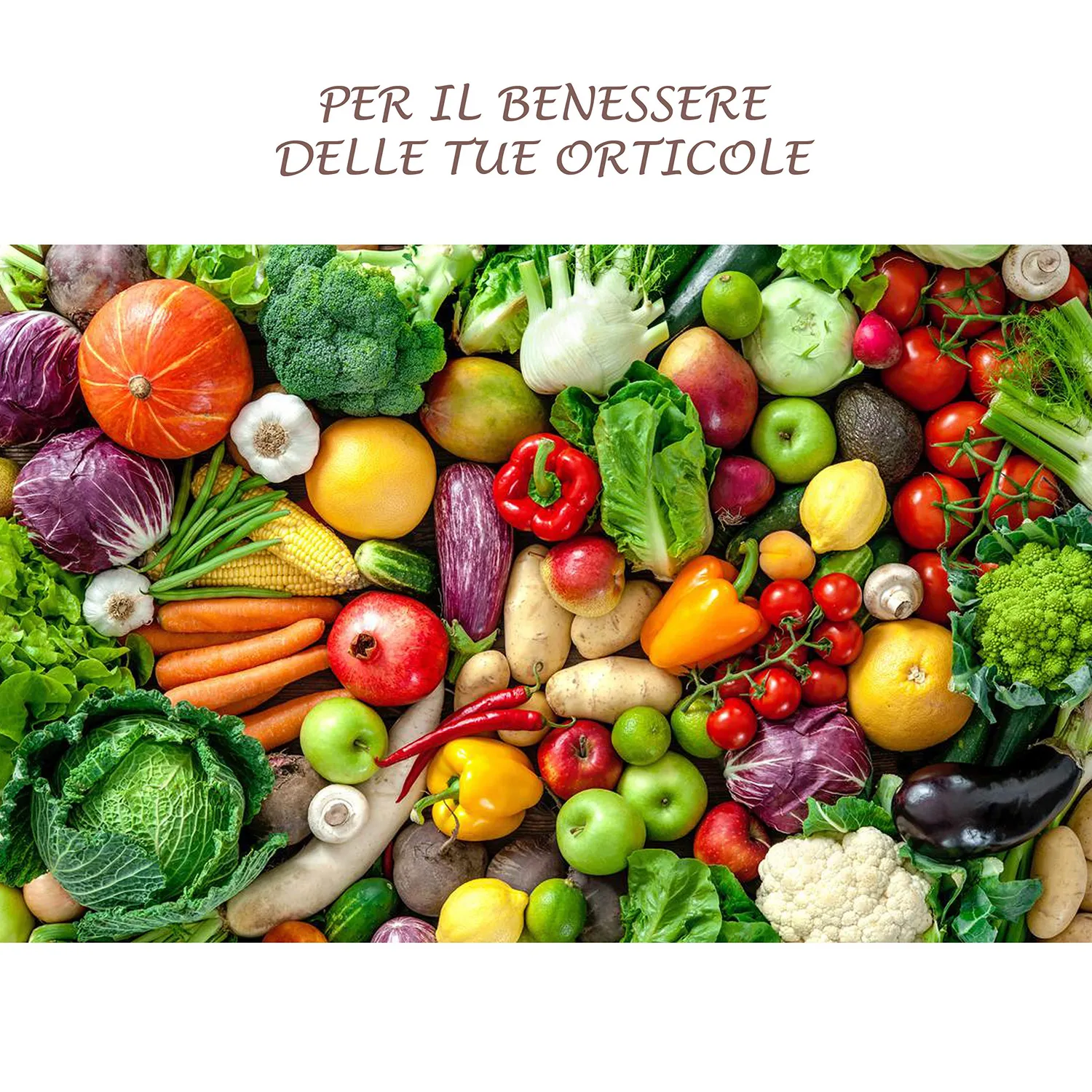 BIOALT BC Control biostimolante micorrize prato e orto 150 g