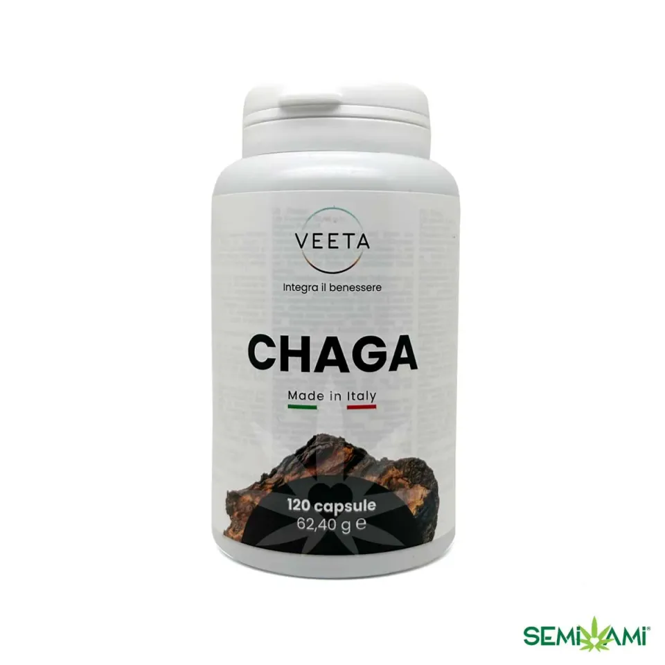 Semi Ami Chaga Inonotus Obliquus integratore 120 compresse antiossidante