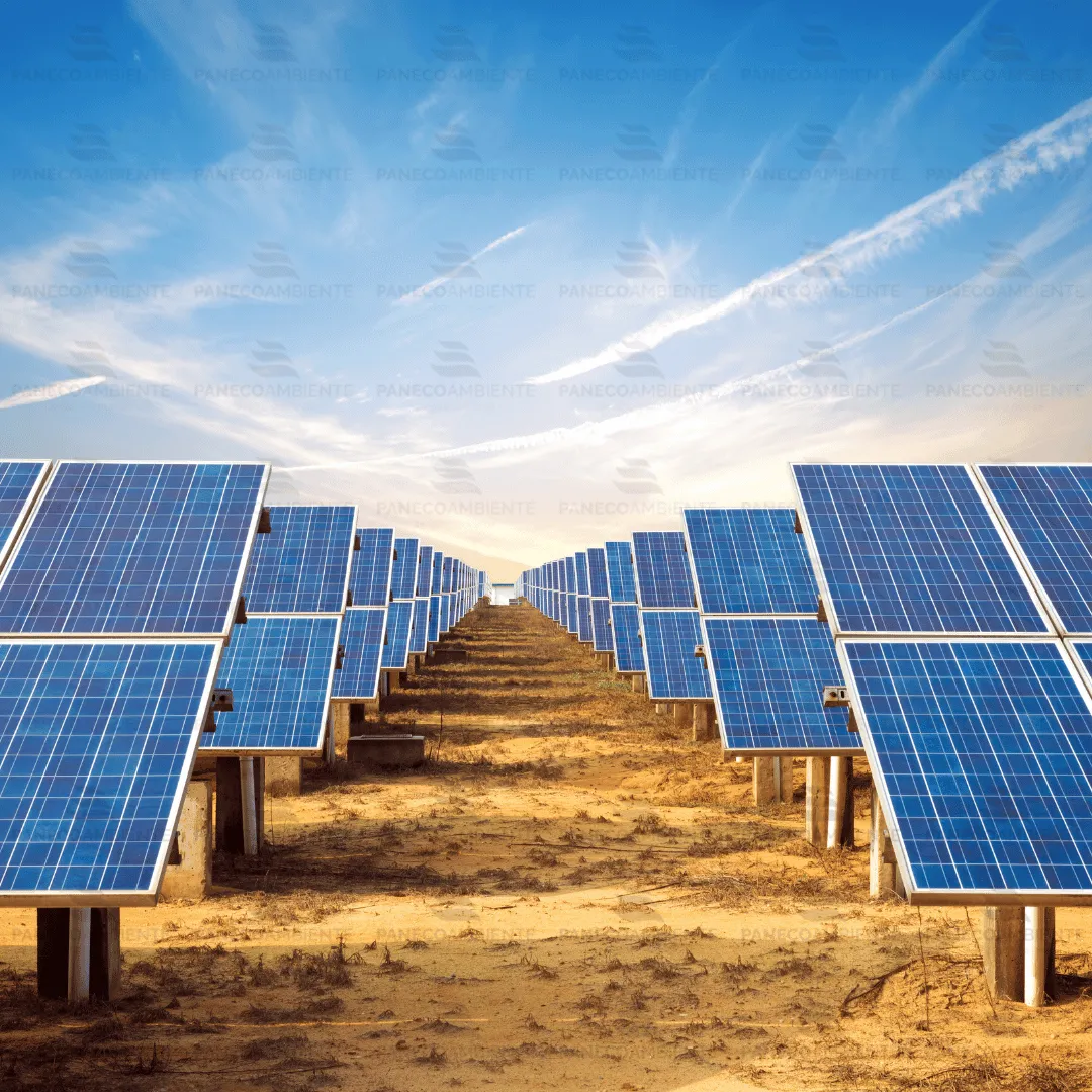 ZoLogik NaturVeba Solar detergente fotovoltaico 5L naturale