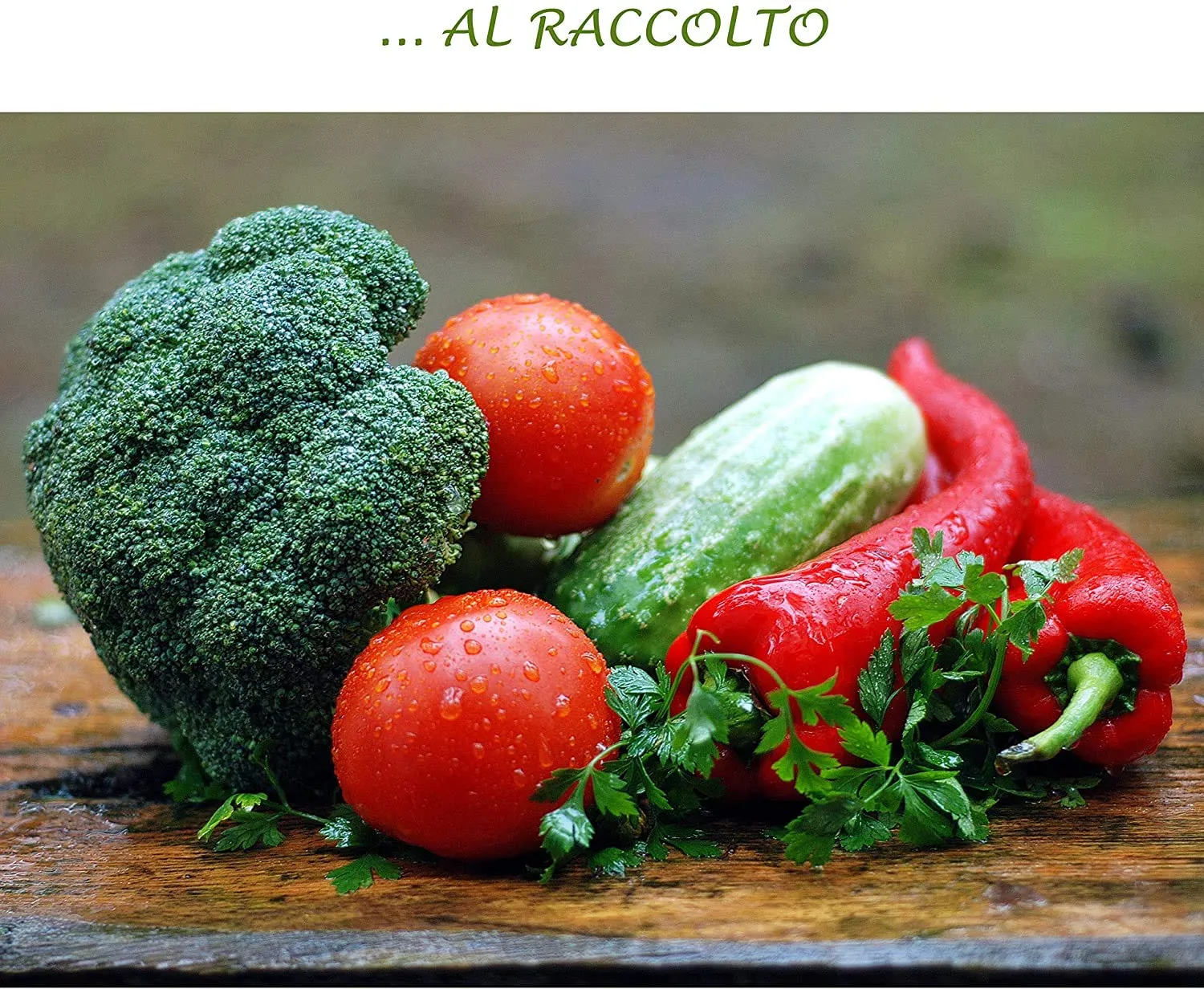 Bio A.L.T. Orto concime liquido 1 litro ortaggi NPK