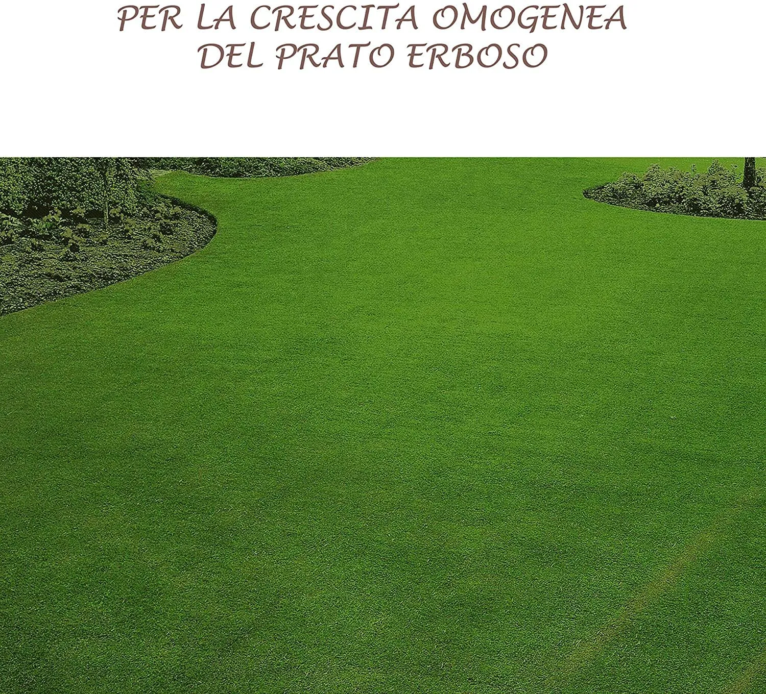 Bioalt Semina e Trapianto concime granulare 1 kg bio