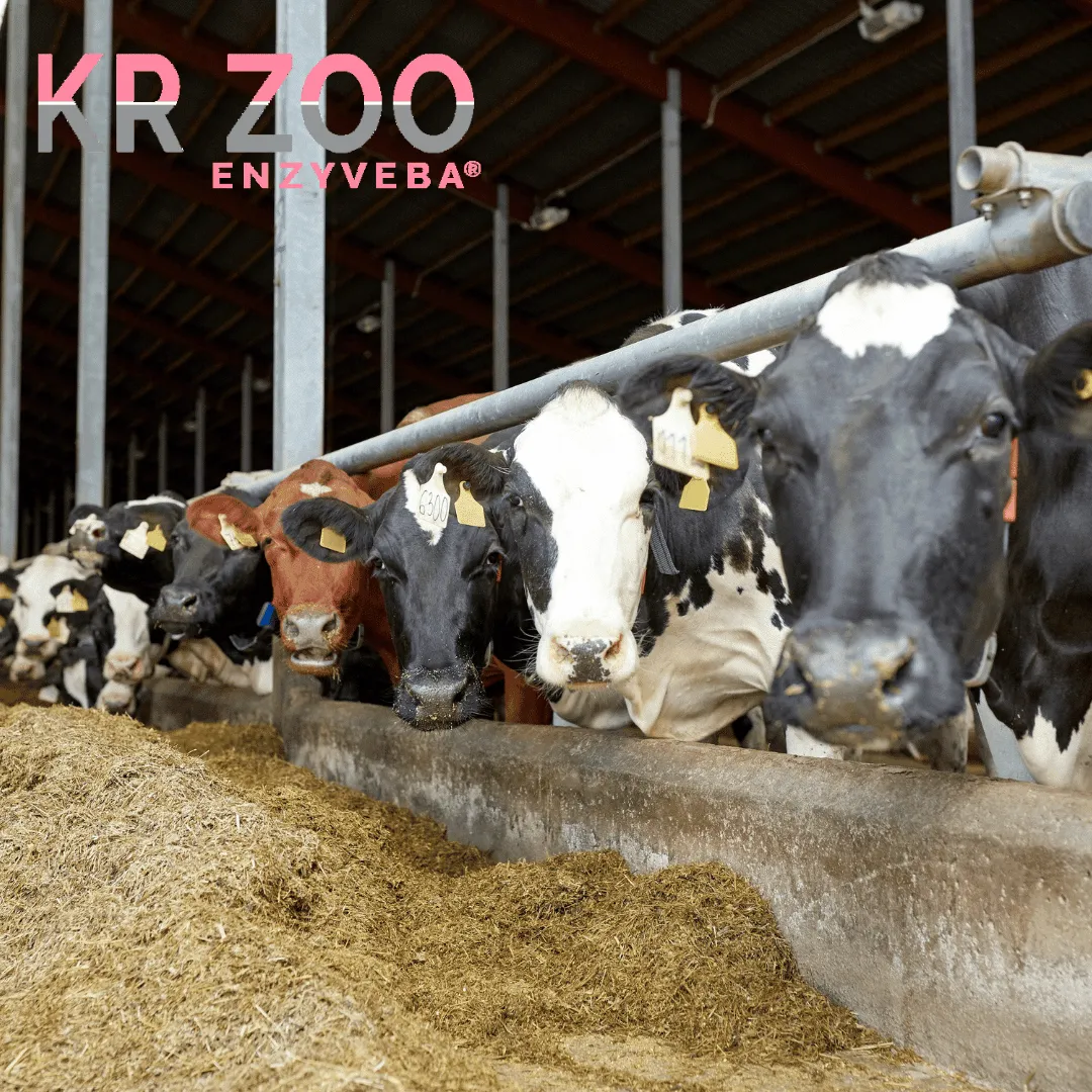 ZoLogik EnzyVeba KR Zoo neutralizzatore odori 5L BIO