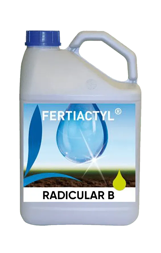 Vitalfit Radicular B concime per radici forte