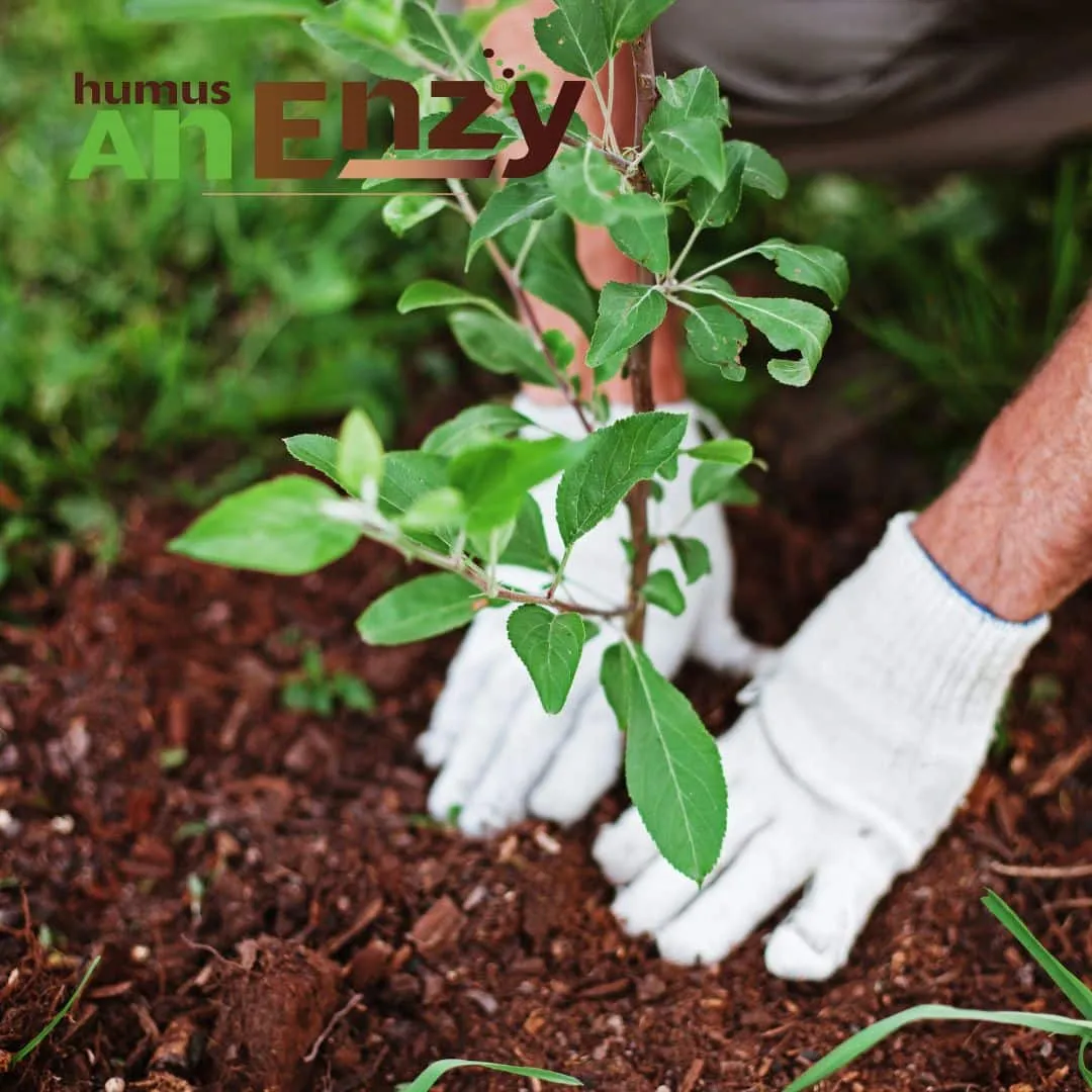 ZoLogik Humus AnEnzy Solid Biochar 8,5 q