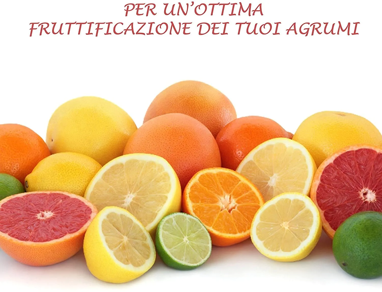 Bio A.L.T. Agrumi Concime Liquido NPK 1 Litro Chelato