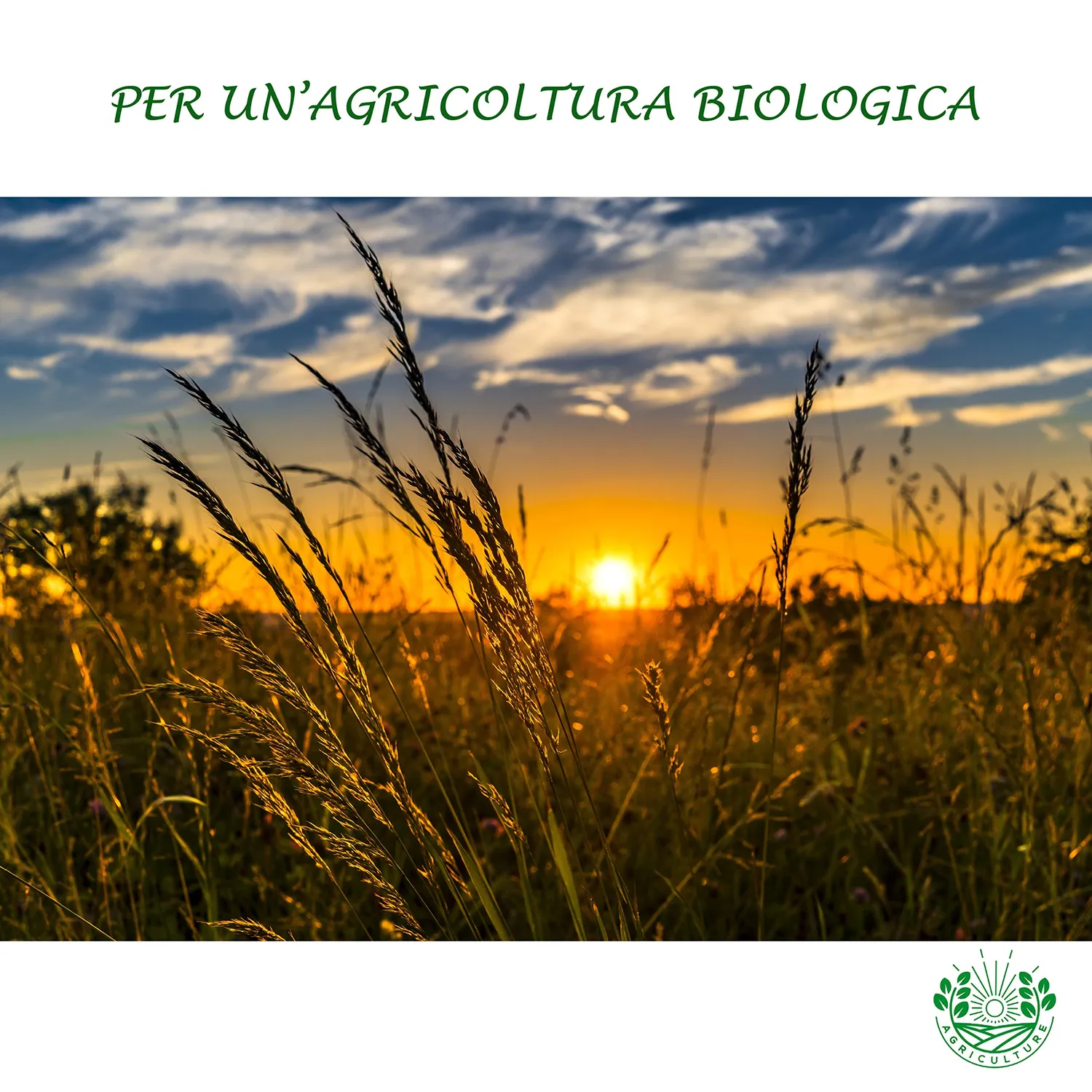 BIOALT Micros L concime liquido 250 ml con ferro chelato