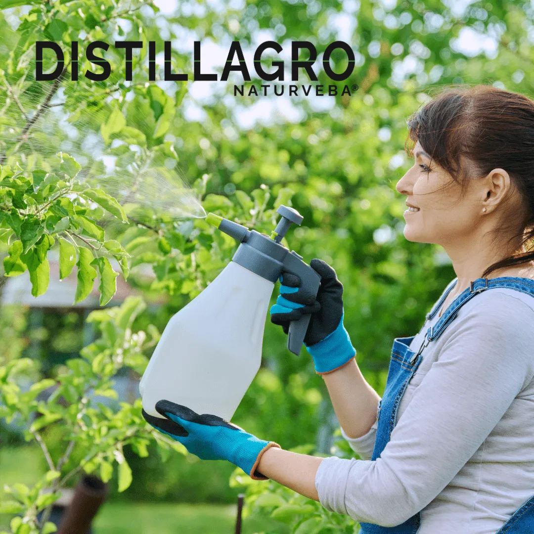 ZoLogik NaturVeba Distillagro distillato legno 5 L
