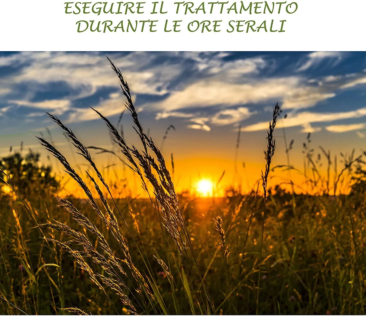 BioAlt Estratto di Ortica repellente naturale 1 L contro afidi