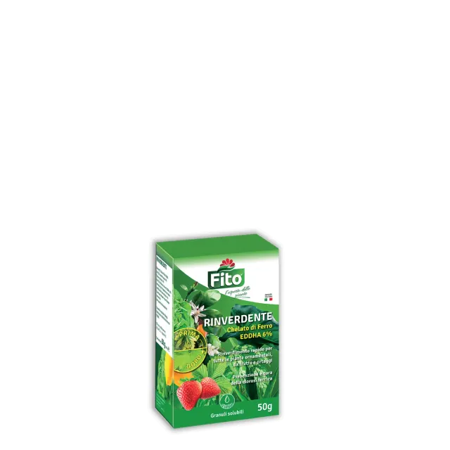 Fito Rinverdente concime ferro chelato bio