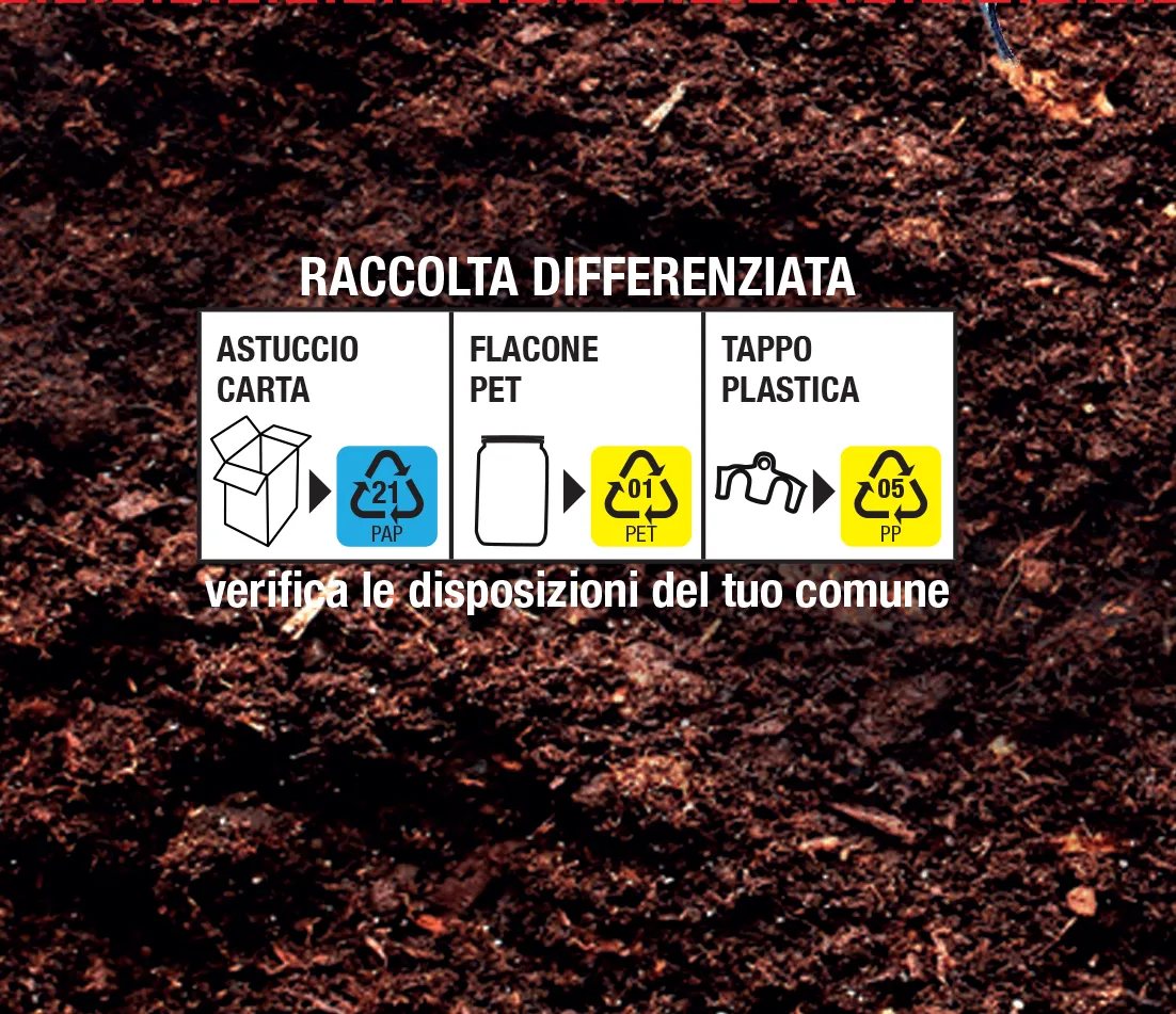 Fito Biofito Trappola Mosche attrattivo naturale