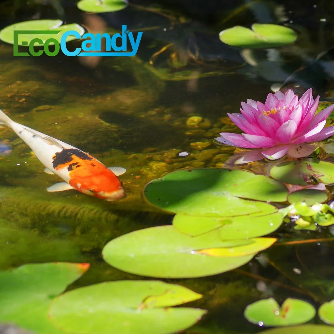 ZoLogik EcoCandy S antialghe laghetto naturale