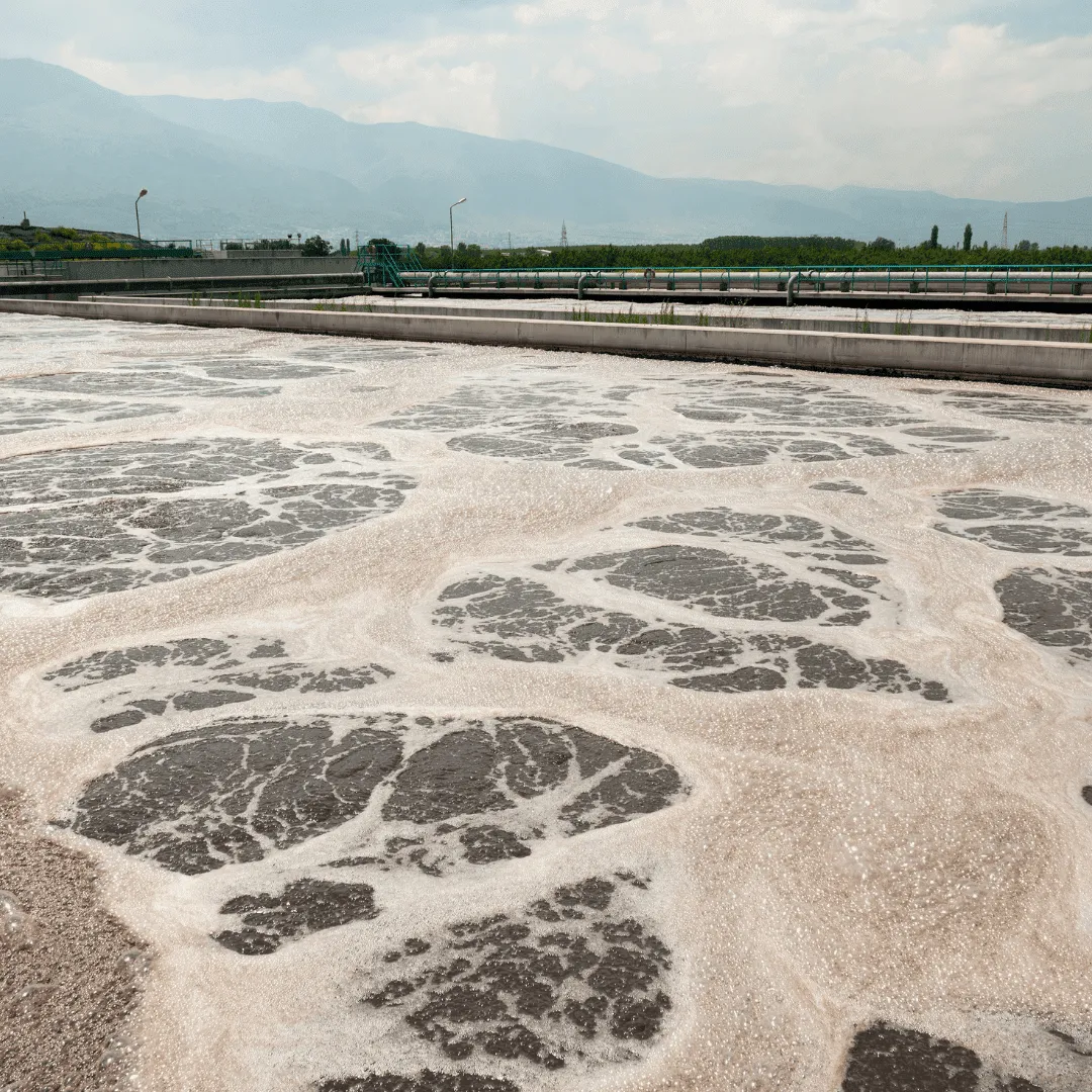 ZoLogik EnzyVeba Mud concentrato 5L per vasche e fanghi