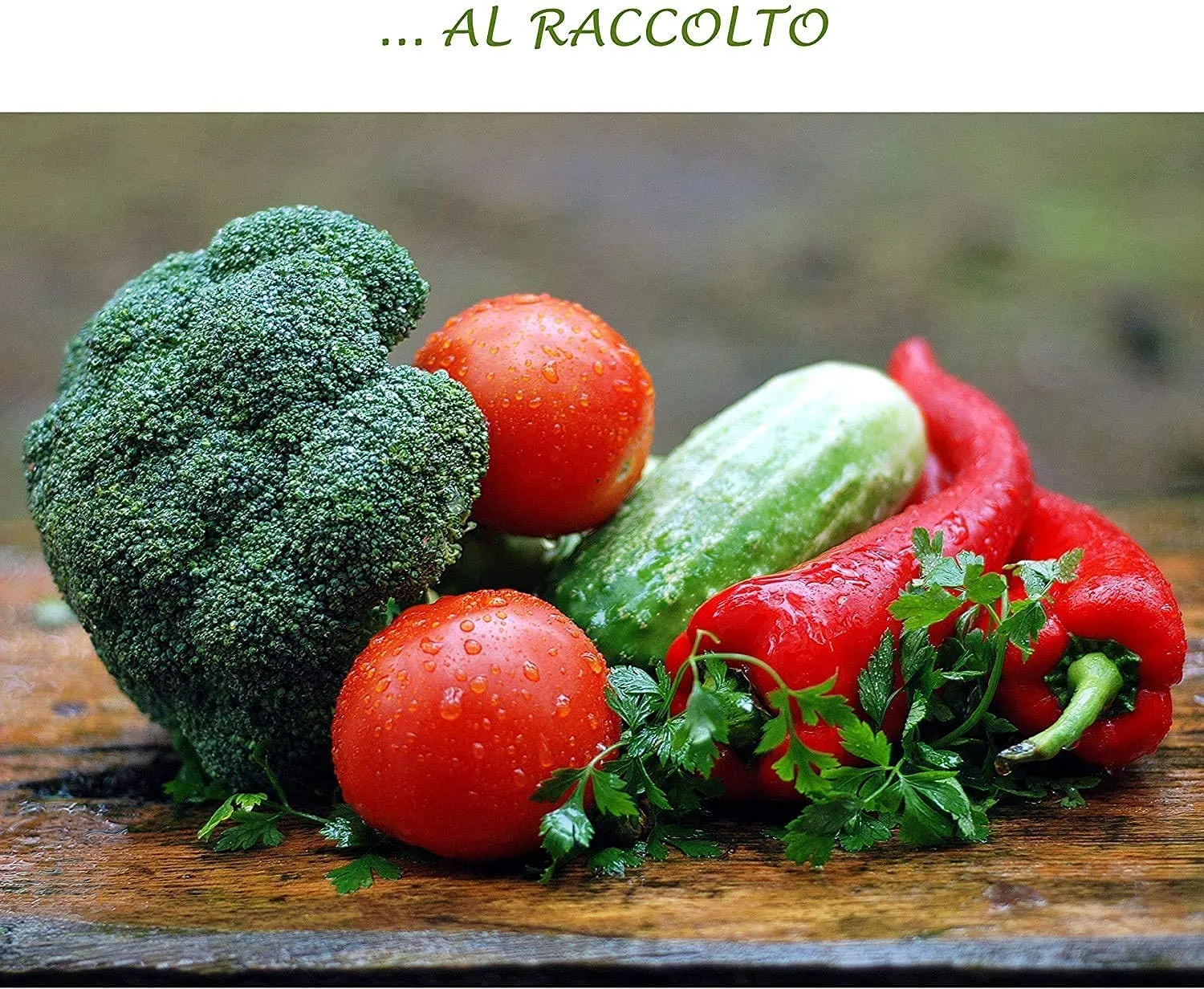 Bio A.L.T. PitMag concime pomodoro 1 litro calcio magnesio