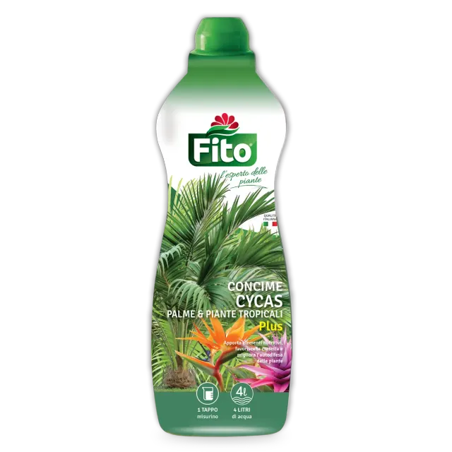 Fito Concime Cycas palme e tropicali con ferro