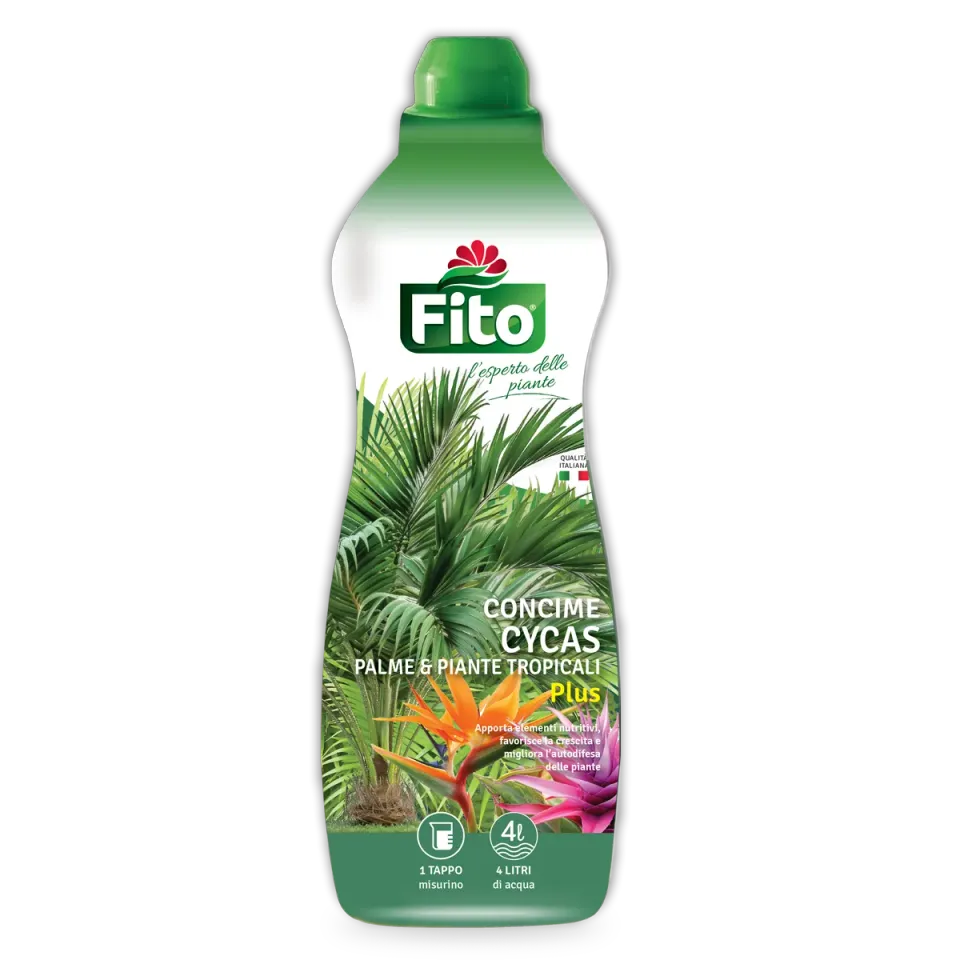 Fito Concime Cycas palme e tropicali con ferro