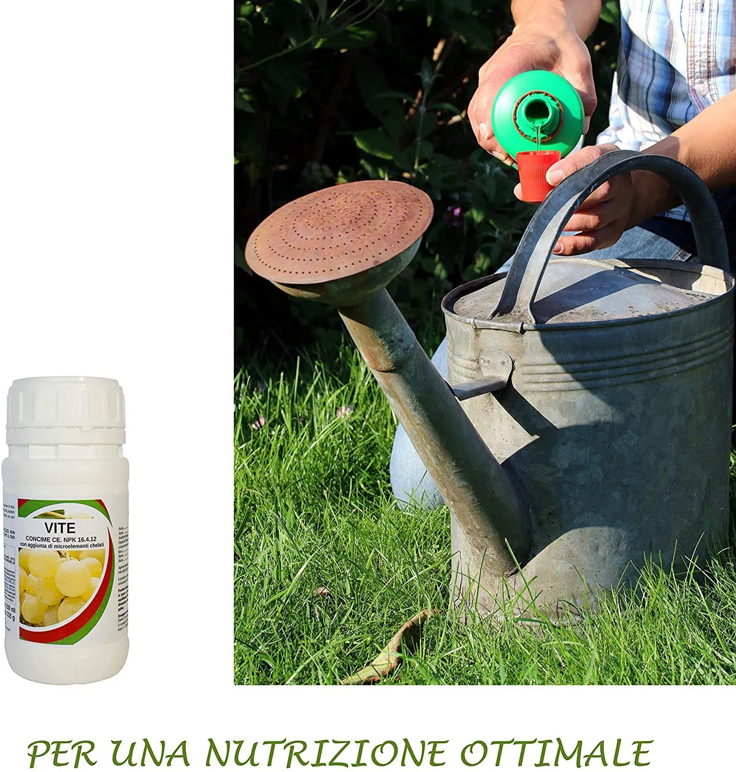 BIOALT Magnifico Vigneto kit vite 4 prodotti naturale