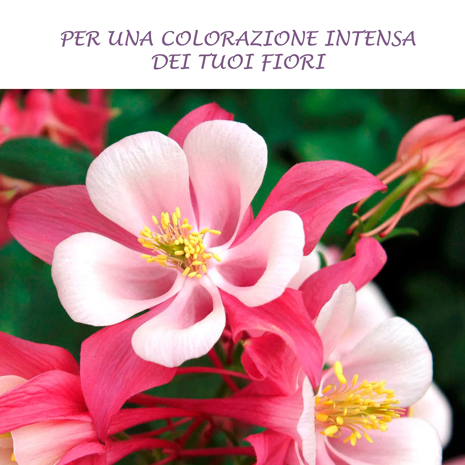 BIOALT Piante Fiorite concime liquido fioritura chelato NPK