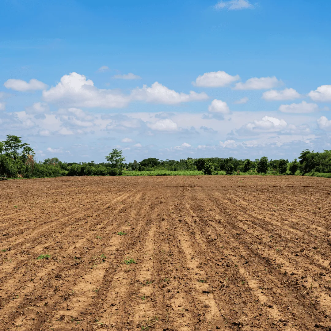 ZoLogik EnzyVeba Bioremediation biorimediatore terreni e acque