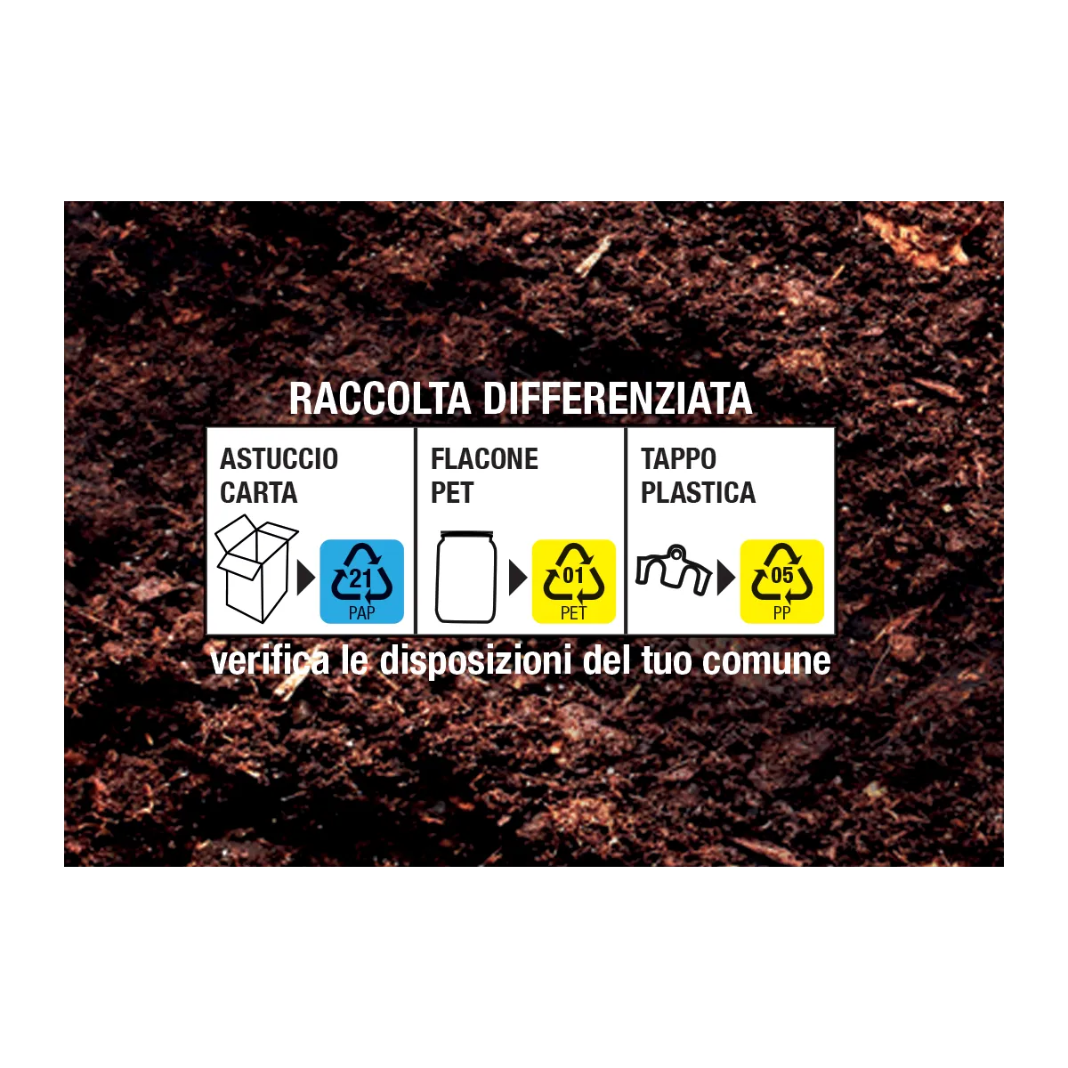 Fito Trappola Vespe attrattivo senza veleno