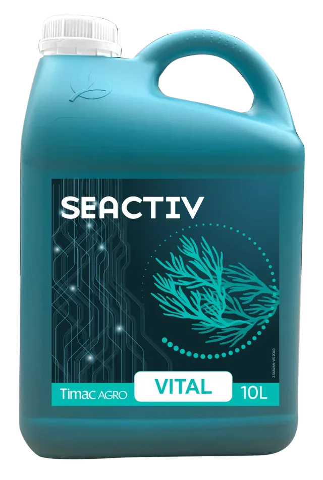 Vitalfit Seactiv Vital biostimolante naturale