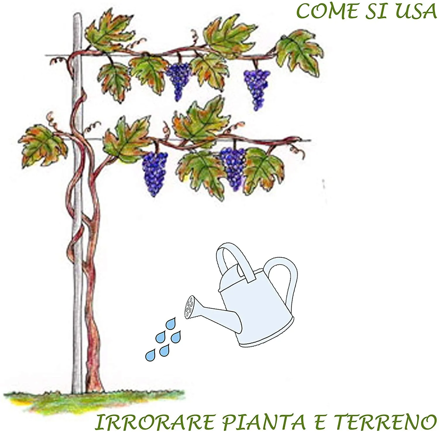 BIOALT Magnifico Vigneto kit vite 4 prodotti naturale