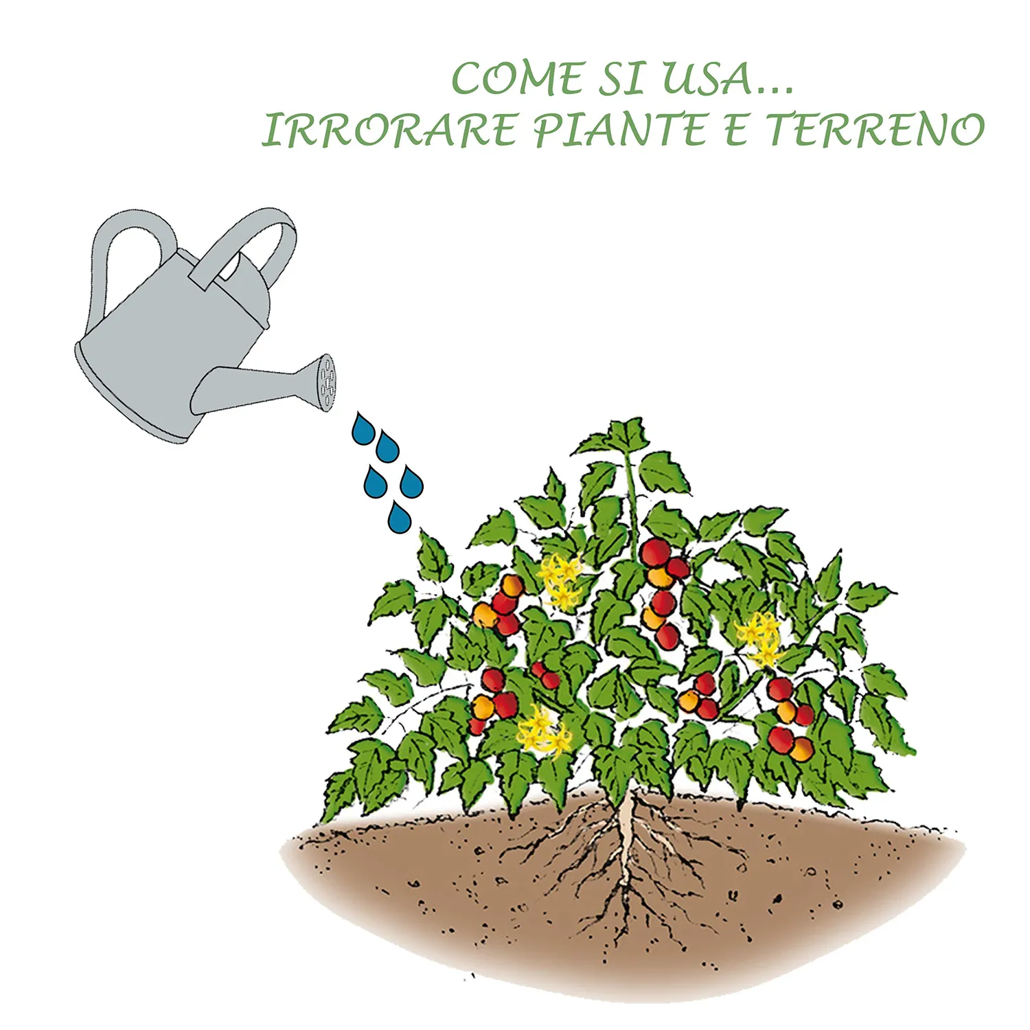 BIOALT Universale 20.20.20 concime NPK 1 kg fiori e frutti